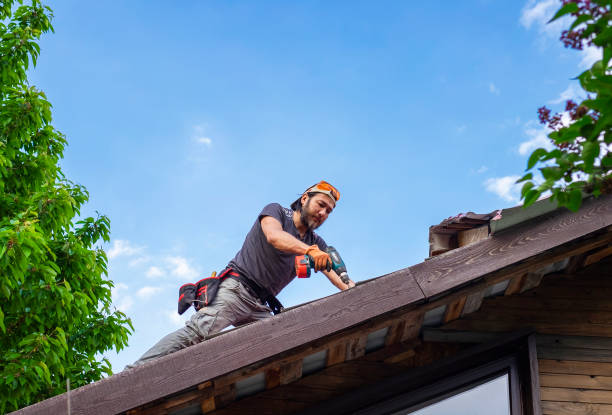 Best Green or Eco-Friendly Roofing Solutions  in Esko, MN